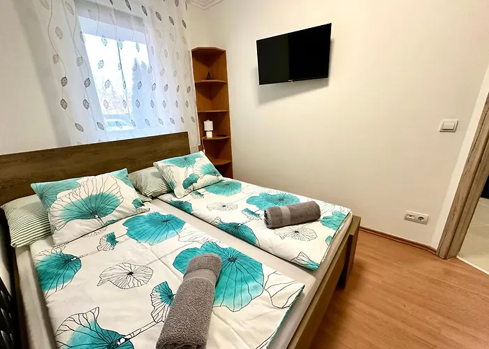 Wellness Dorina 3* Siofok