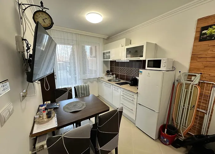 Wellness Dorina 아파트호텔 3*